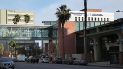 Children’s Hospital L.A. ends transgender program despite state law