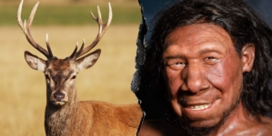 Neanderthals ran ‘fat factory’ 125,000 years ago, study finds