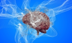 Researchers Advance in Finding Cure for Alzheimer’s