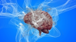 Researchers Advance in Finding Cure for Alzheimer’s