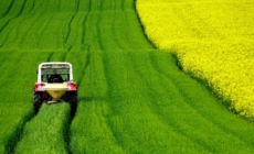 Our Farmers Will Lose Out on EU-Ukraine Agricultural Deal