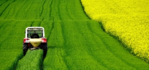 Our Farmers Will Lose Out on EU-Ukraine Agricultural Deal