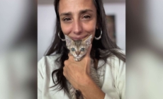 Tears As Tiny Kitten Stays by Woman’s Side During Her Last Few Moments