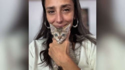 Tears As Tiny Kitten Stays by Woman’s Side During Her Last Few Moments