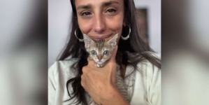 Tears As Tiny Kitten Stays by Woman’s Side During Her Last Few Moments
