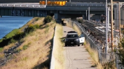Entire group goes into L.A. River; one adult, a dog drown