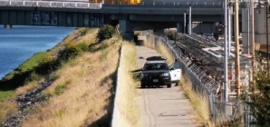 Entire group goes into L.A. River; one adult, a dog drown