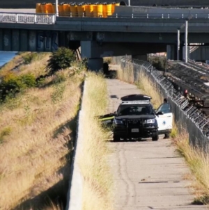Entire group goes into L.A. River; one adult, a dog drown