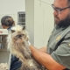 134 cats found crammed into a U-Haul van outside California Taco Bell