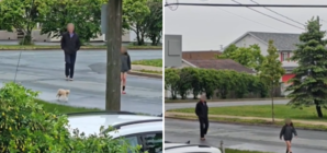 Cat Follows Kids to School—What the Principal Does Next Is Perfect