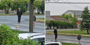 Cat Follows Kids to School—What the Principal Does Next Is Perfect