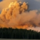 8/3: CBS Weekend News – CBS News