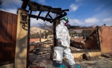 Insurer of last resort faces questions over smoke damage claims