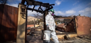 Insurer of last resort faces questions over smoke damage claims