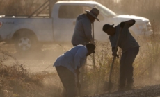 California farmworkers still die from heat illness 20 years after law
