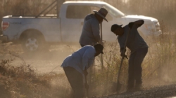 California farmworkers still die from heat illness 20 years after law