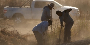 California farmworkers still die from heat illness 20 years after law