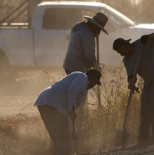 California farmworkers still die from heat illness 20 years after law