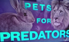 Danish zoo asks people to donate pets to feed predators 