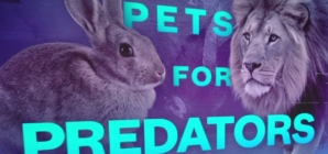 Danish zoo asks people to donate pets to feed predators 