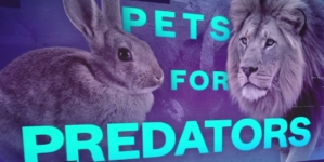 Danish zoo asks people to donate pets to feed predators 