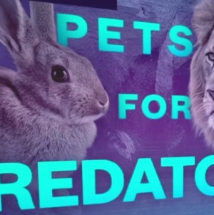 Danish zoo asks people to donate pets to feed predators 