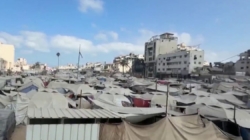 Israel’s planned takeover ‘exacerbates pain’ in Gaza City, says Red Cross spokesperson