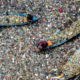 Plastic crisis highlighted by Lancet ahead of Global Plastics Treaty