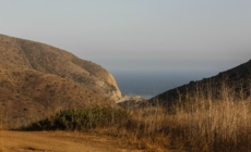 Man and woman found shot in car along Pacific Coast Highway were dead for several days, police say