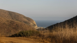 Man and woman found shot in car along Pacific Coast Highway were dead for several days, police say