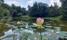 Vácrátót Garden Wins Spot on Europe’s Map of Historic Landscapes