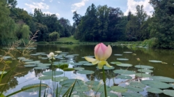 Vácrátót Garden Wins Spot on Europe’s Map of Historic Landscapes