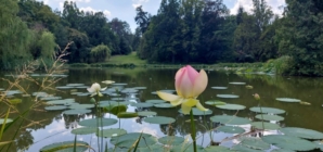 Vácrátót Garden Wins Spot on Europe’s Map of Historic Landscapes