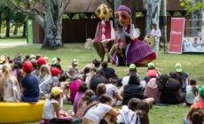 Erzsébet Camp Offers Sick and Disadvantaged Children a Summer of Healing Joy