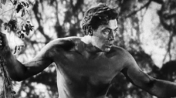 Permanent Exhibition to Honor “Tarzan” Star Johnny Weissmüller