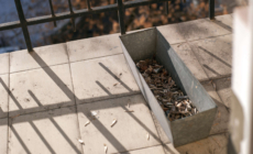 Neighbor Throws Cigarette From Upstairs, Outrage Over What It Ruins Below