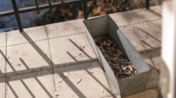 Neighbor Throws Cigarette From Upstairs, Outrage Over What It Ruins Below