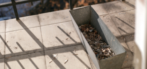 Neighbor Throws Cigarette From Upstairs, Outrage Over What It Ruins Below