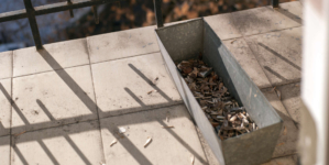 Neighbor Throws Cigarette From Upstairs, Outrage Over What It Ruins Below