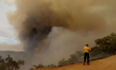 Gifford Fire Map, Update as California Blaze Hits Major Milestone