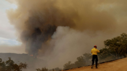 Gifford Fire Map, Update as California Blaze Hits Major Milestone