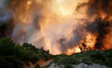 Firefighters battle France’s biggest wildfire in 80 years