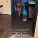 Dog Sees Owner’s Suitcase—His Sad Reaction Shows He Knows What That Means