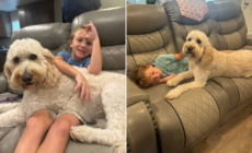 Tears As Autistic Boy, 6, Reunites With Family Dog Trained To Support Him