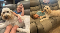 Tears As Autistic Boy, 6, Reunites With Family Dog Trained To Support Him