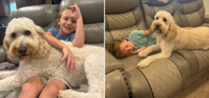 Tears As Autistic Boy, 6, Reunites With Family Dog Trained To Support Him