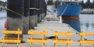 Tsunami left Crescent City with $1 million in damage, officials say