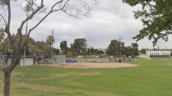 Mother rescues her 6-year-old son from coyote attack at SoCal park