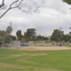 Mother rescues her 6-year-old son from coyote attack at SoCal park