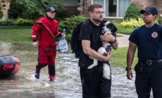 Wisconsin State Fair Canceled as Floods Leave Thousands Without Power